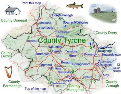 where is county tyrone located in ireland